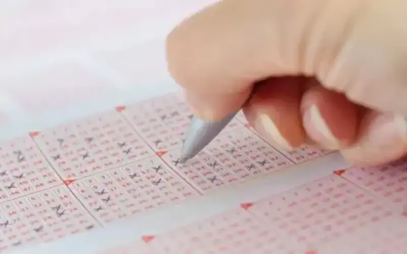 kerala lottery ticket result today at 82Bet Lottery featured image